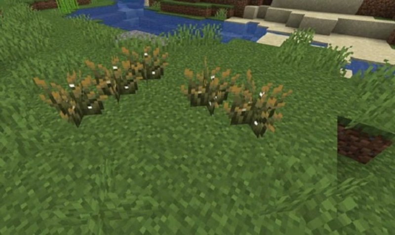 Đồ họa và Âm thanh trong phiên bản mới