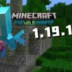 Minecraft 1.19.10