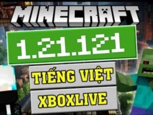 Minecraft 1.21.121