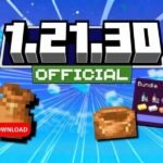 Minecraft 1.21.30