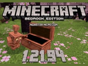 Minecraft 1.21.94
