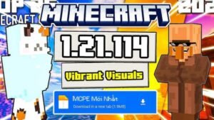Minecraft 1.21.114