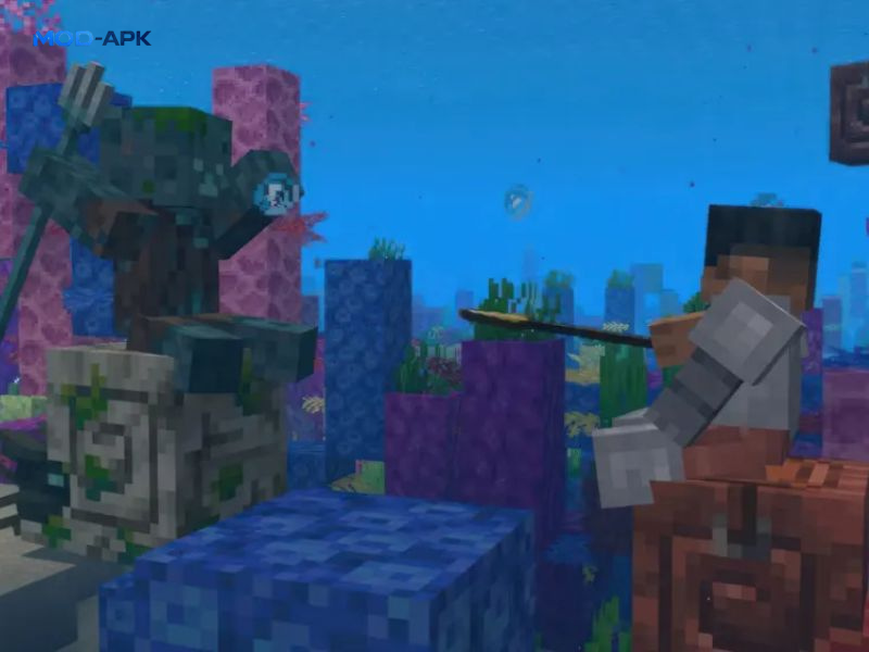 Hệ sinh thái Nautilus – Kỵ sĩ đại dương