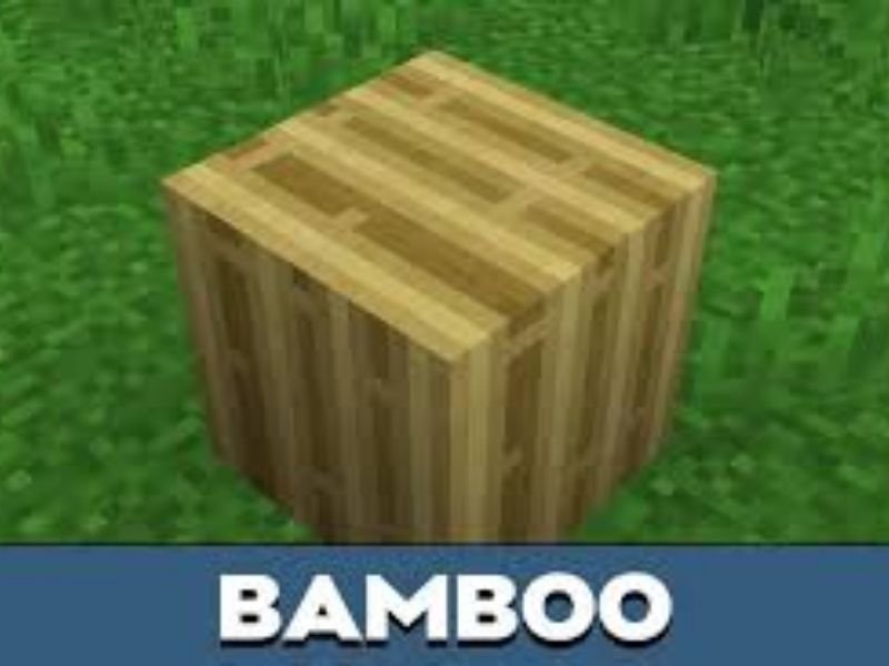 Khắc phục lỗi tương tác với vật phẩm