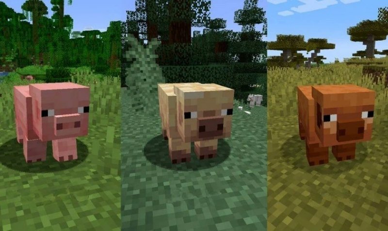 Lối chơi chi tiết (Gameplay)