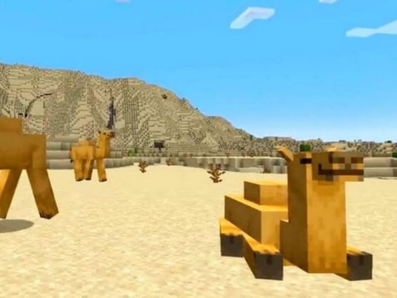 Lối chơi chi tiết: Sinh tồn và Thám hiểm