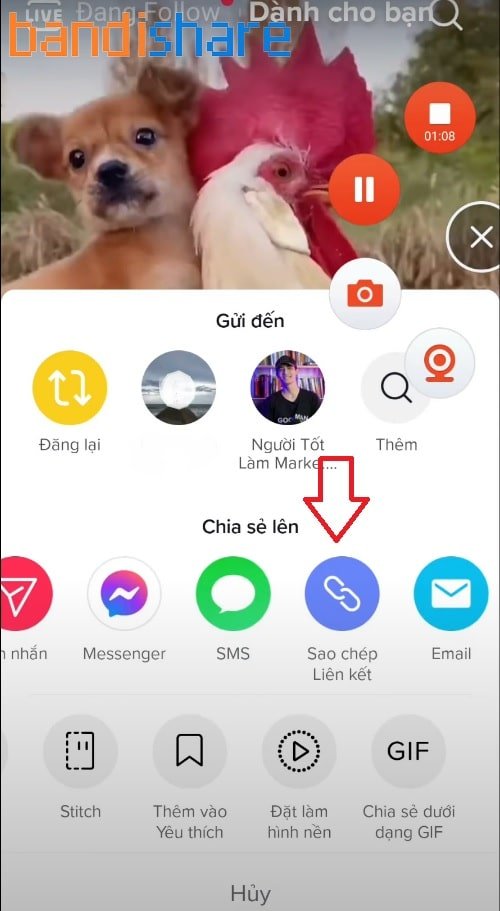 Điểm nổi bật và các cập nhật mới nhất trong năm 2026