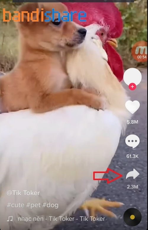 Thông tin cơ bản (Nhà phát hành, thể loại, nền tảng)